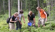studium-bsc.jpg