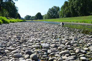 Zukunft des Wassers.jpg