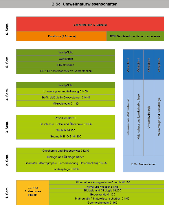 BSc Übersicht UNW