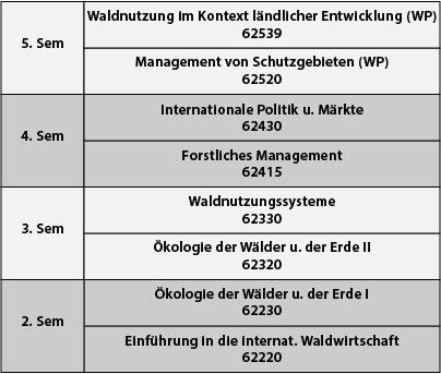 curriculum-int-waldwirtschaft.jpg