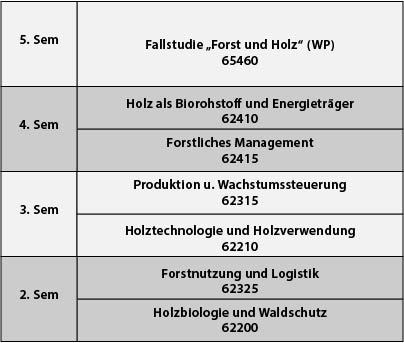 curriculum-nebenfach-holz-bioenergie.jpg