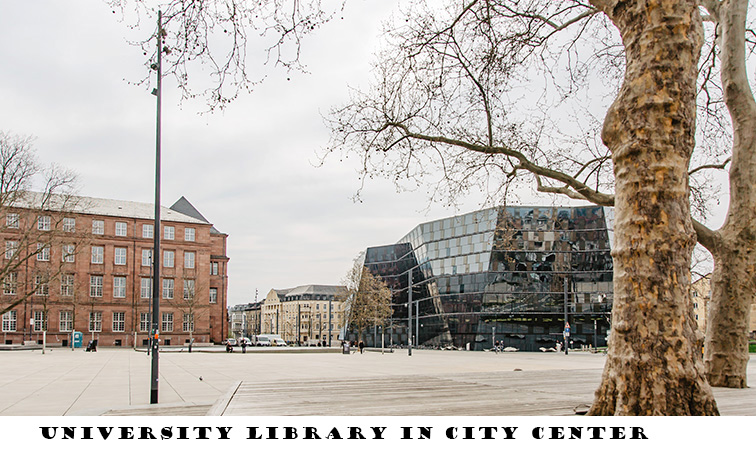 bibliothek.jpg
